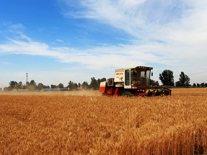 食品和饮料行业